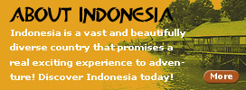 About Indonesia
